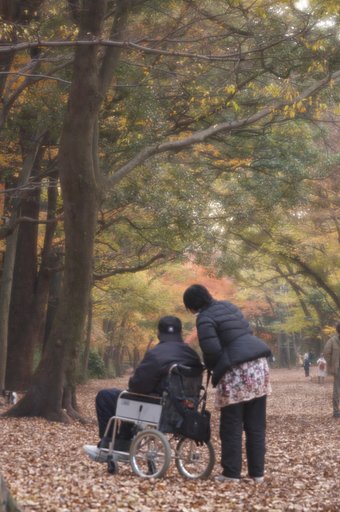 糺の森