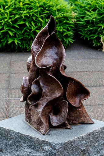 OLYMPUS M.60mm F2.8 Macro