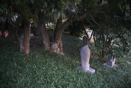 夕暮れ散歩