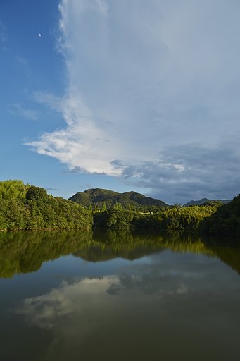 散歩撮影