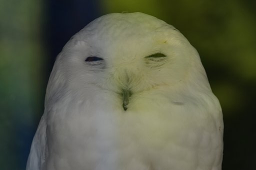 えびす顔