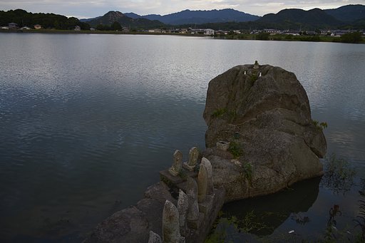 溜池散歩