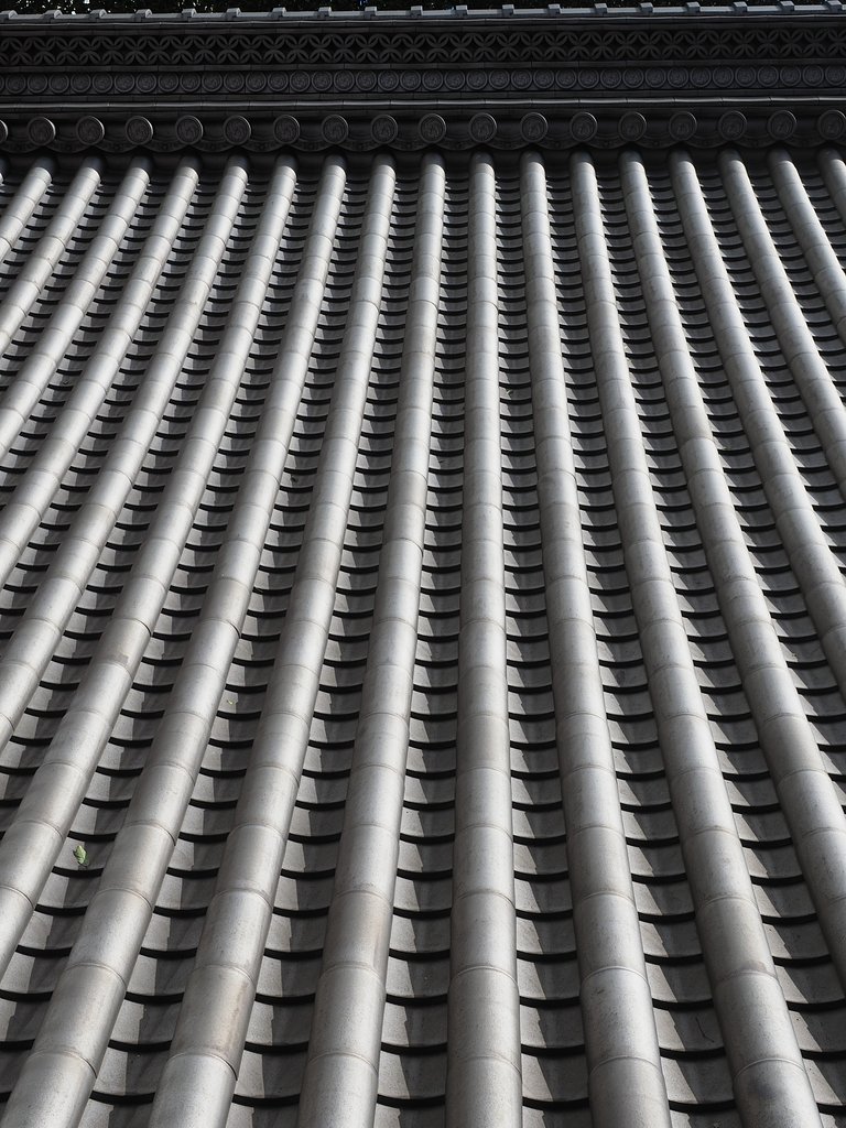 ◎M.ZUIKO DIGITAL ED 12-40mm/F2.8 PRO