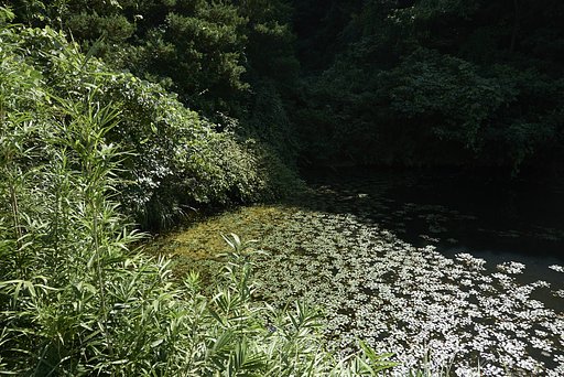 暑かった夏も終わりに・・