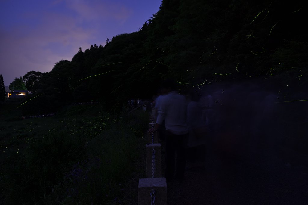 淡い光に包まれて