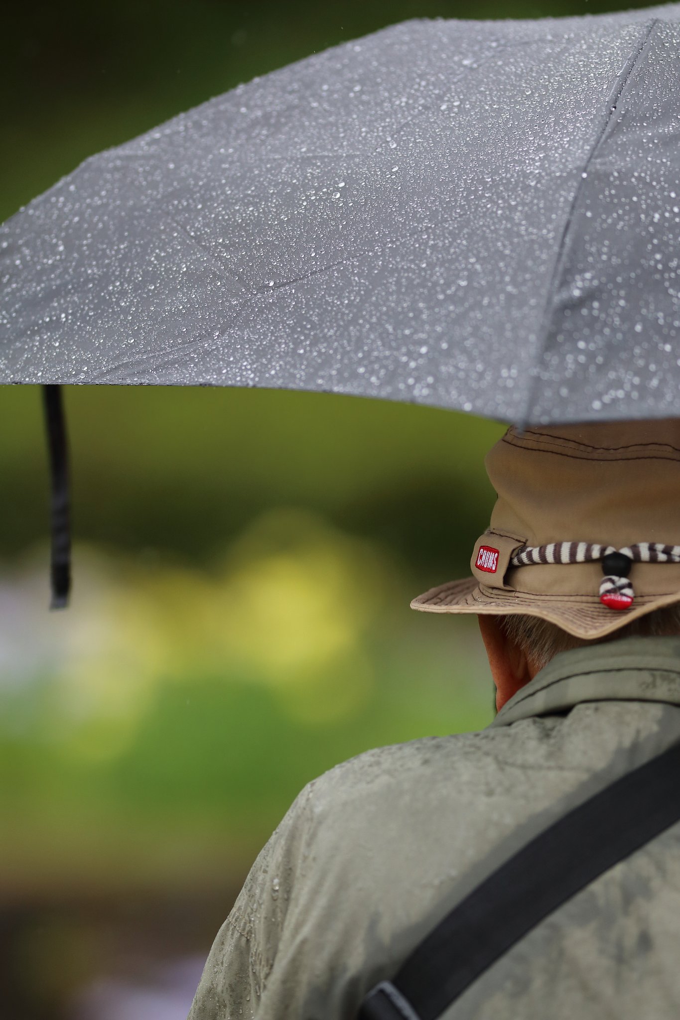 ただひたすらに今を撮る　2018梅雨