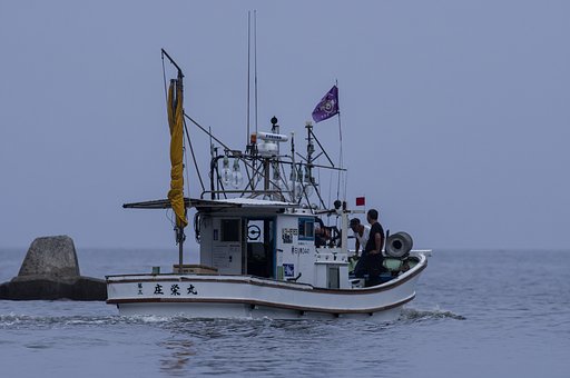 出航