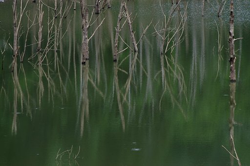 深山の湖面に