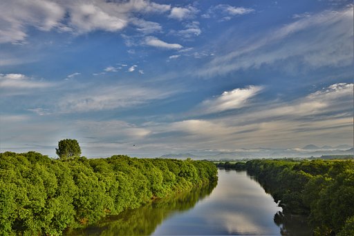 渡良瀬川下流部景