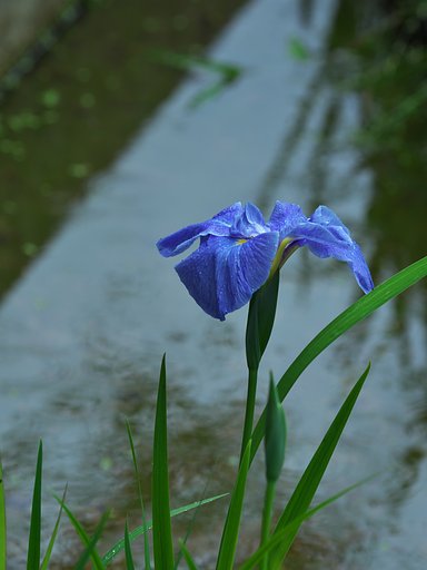 6月10日の写真
