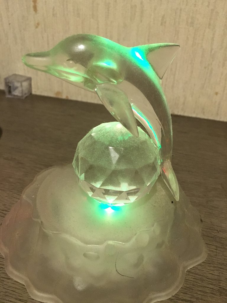 イルカ