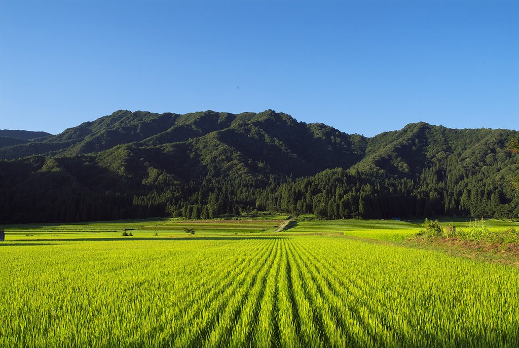故郷の風景