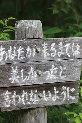 あなたとは、ぼくでしょうか