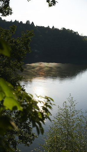 里山撮影