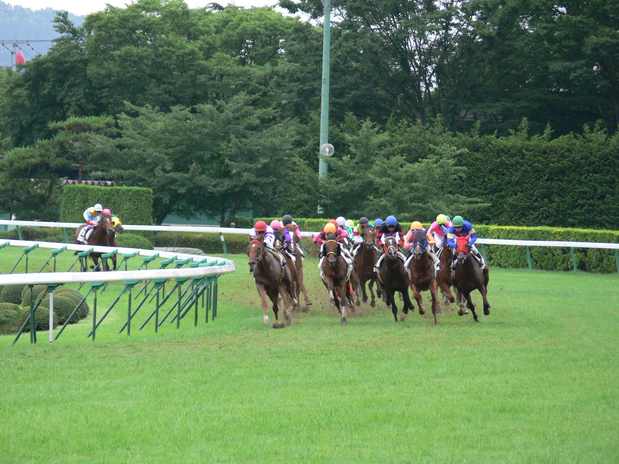 福島競馬　最終コーナー