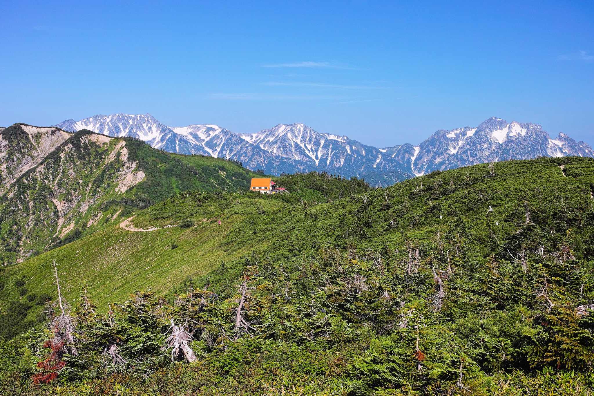 彼方の立山連峰