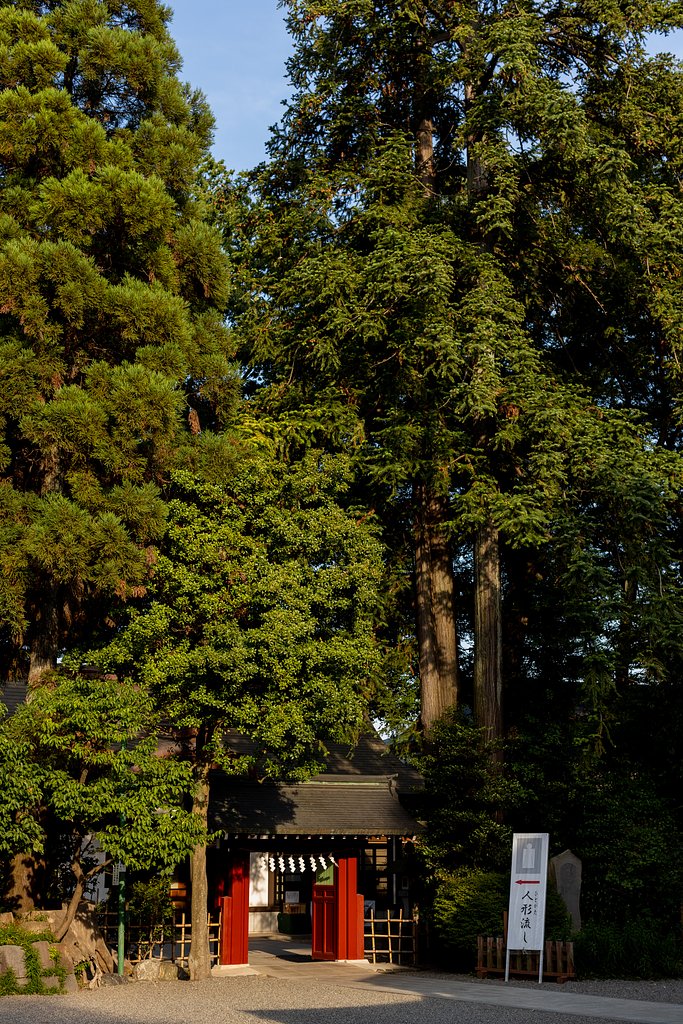 EF50mm f/1.2L USM