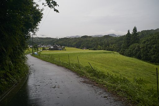 金倉川