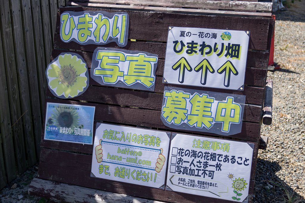 花の海