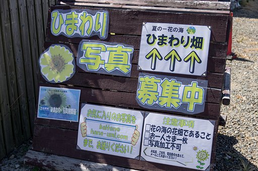 花の海