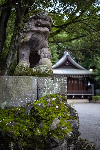 7月2日の写真