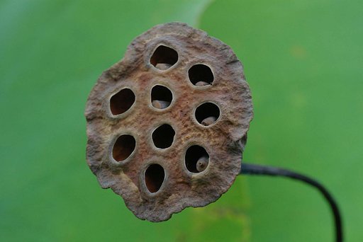 終焉の時
