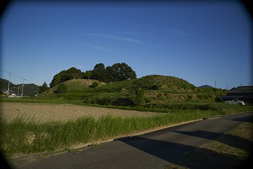 溜池放浪