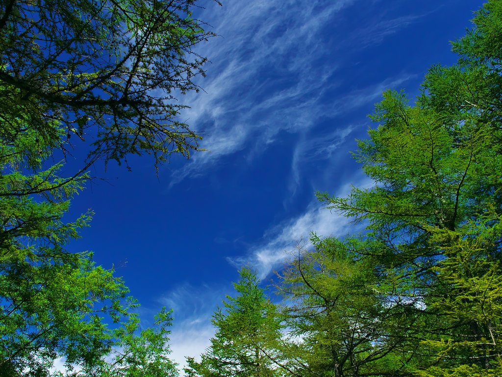 夏空