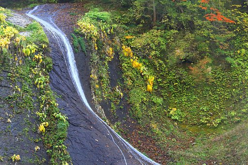 10月26日の写真