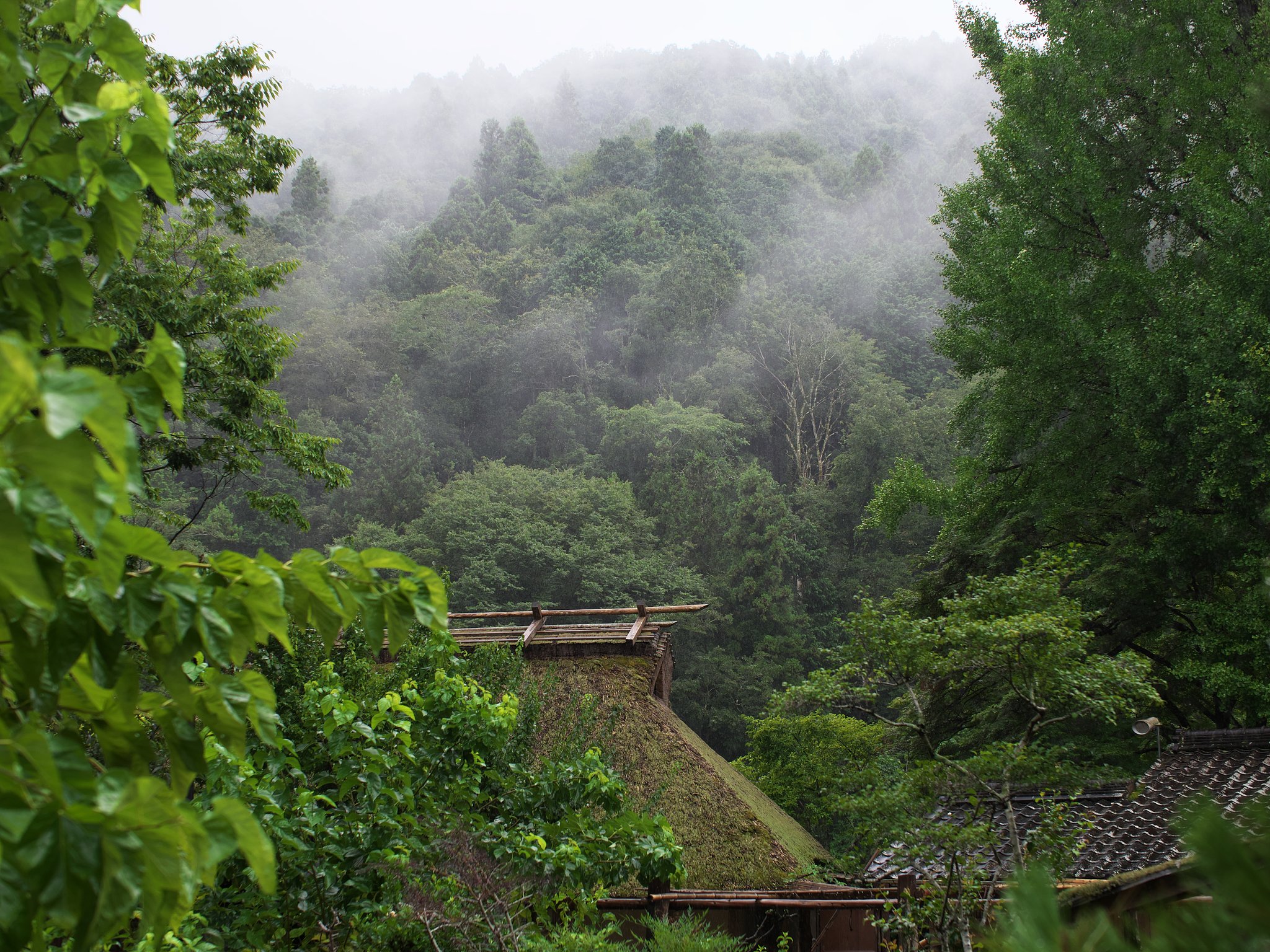♪山のけむり
