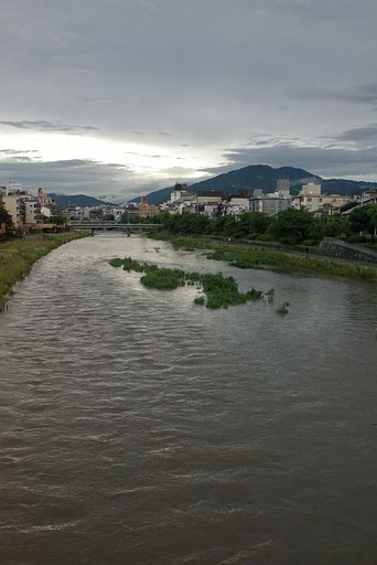 鴨川雨上がり