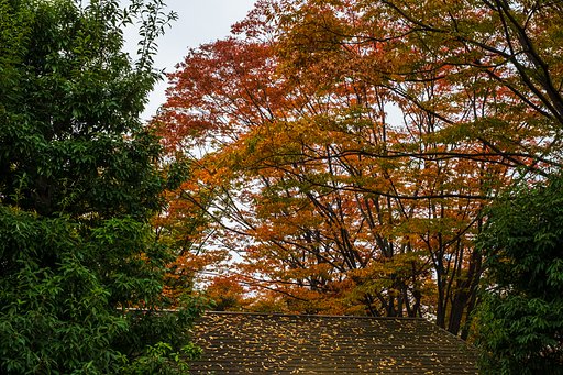 FUJINON XF35mm F1.4 R 