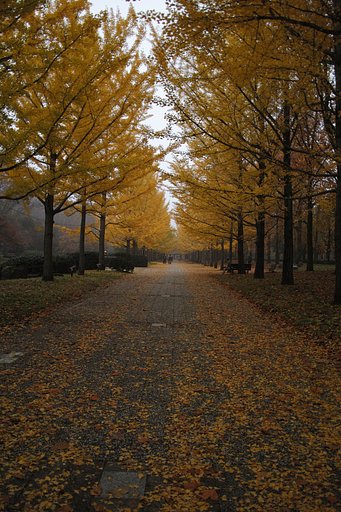 県立運動公園の朝