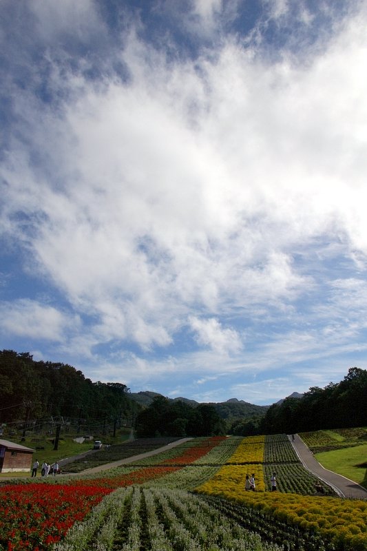 しばらく休みます