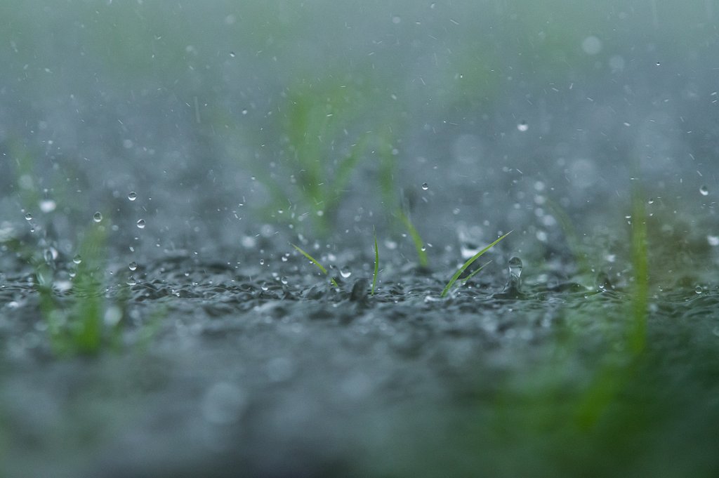 五月雨のリズムⅡ