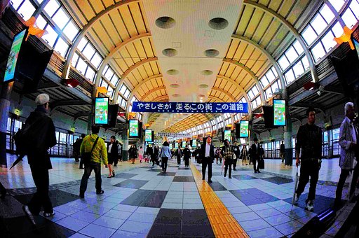 10月24日の写真
