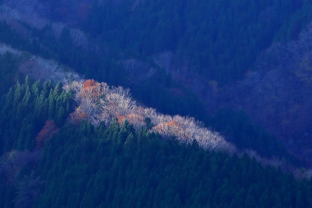 尾根の陽ざし