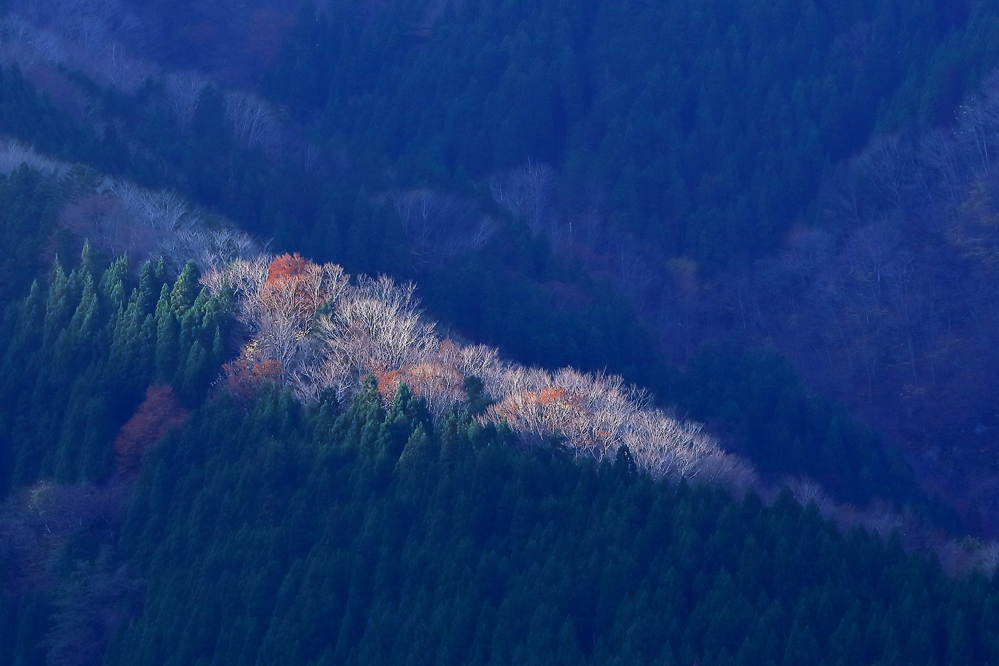 尾根の陽ざし