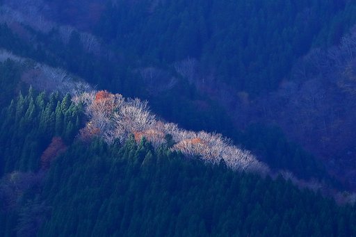 尾根の陽ざし