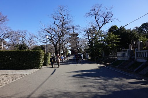 【蔵出し】五重塔