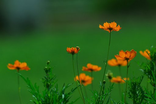 昨日の続きですが・・