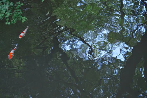 9月1日の写真