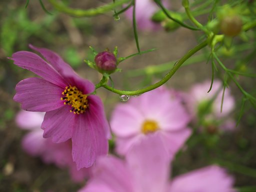 雫2