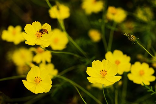EF100mm F2.8 L IS MACRO