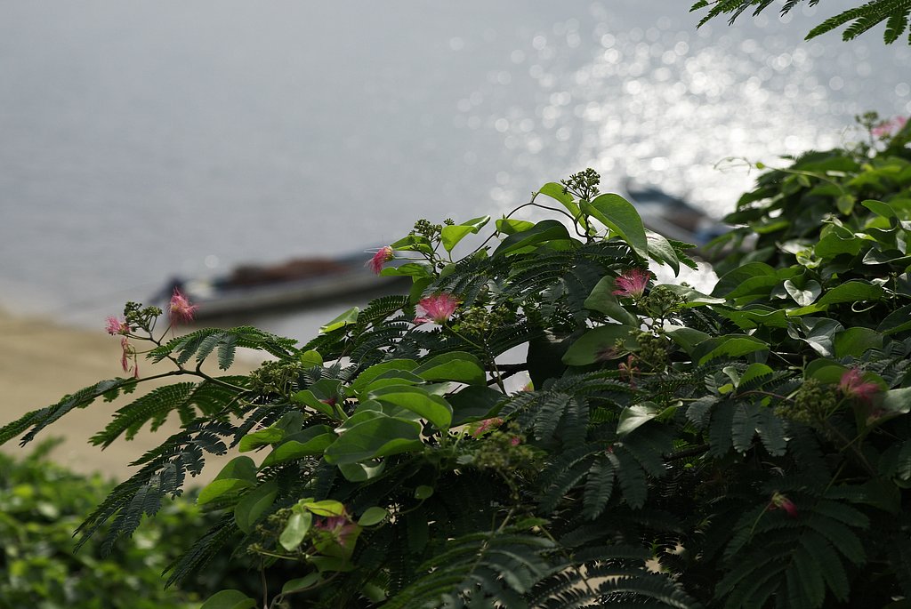 古い写真データ