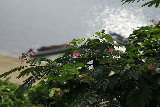古い写真データ