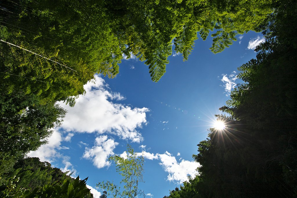 こちらの台風一過2