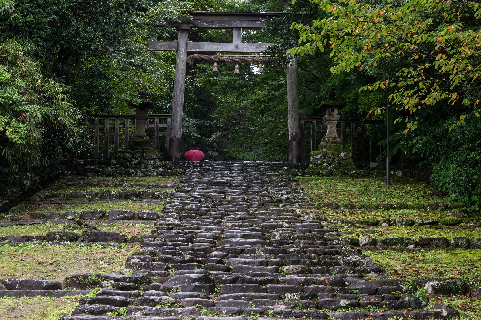 雨の参道