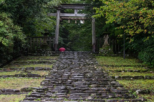 雨の参道