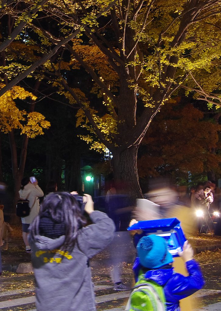 将来はカメラマン